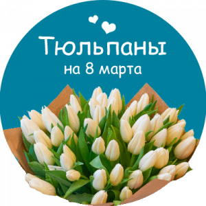 Купить тюльпаны в Новодвинске